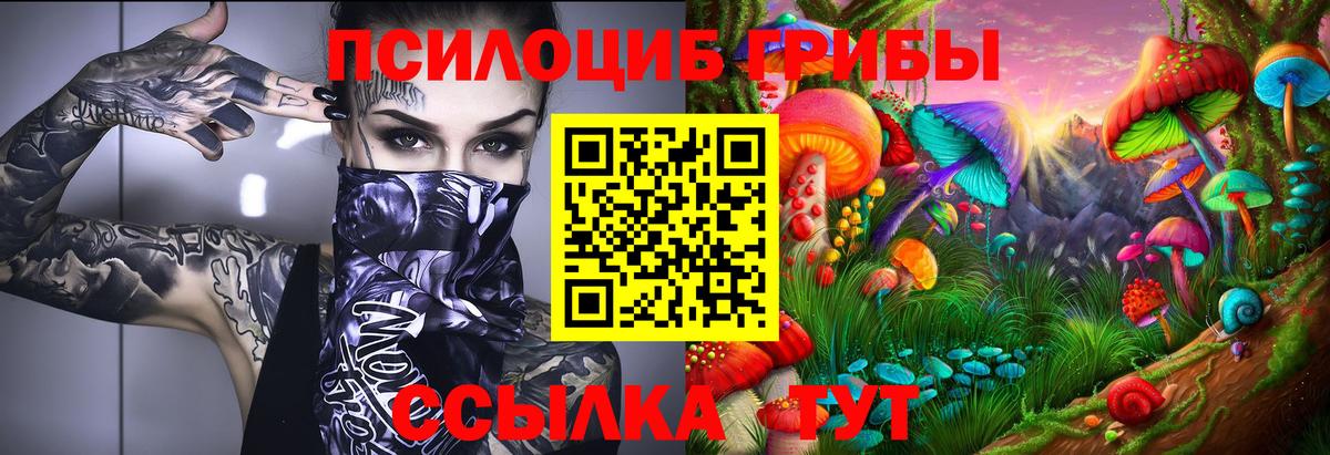 Псилоцибиновые грибы прущие грибы  Галлюциногенные грибы GOLDEN TEACHER  Липецк  цены   Вход с VPN 